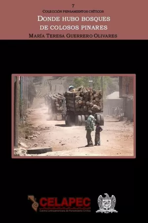 DONDE HUBO BOSQUES DE COLOSOS PINARES