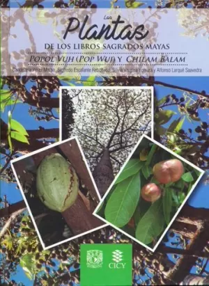 LAS PLANTAS DE LOS LIBROS SAGRADOS MAYAS