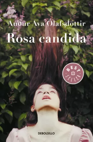 ROSA CANDIDA