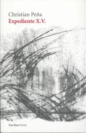 EXPEDIENTE X.V.