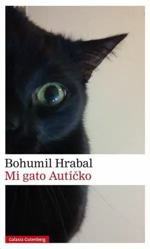 MI GATO AUTICKO
