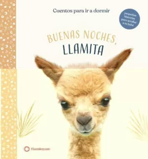 BUENAS NOCHES LLAMITA