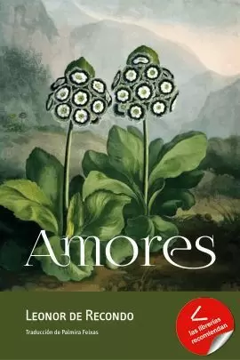 AMORES